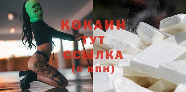 шишки Абинск