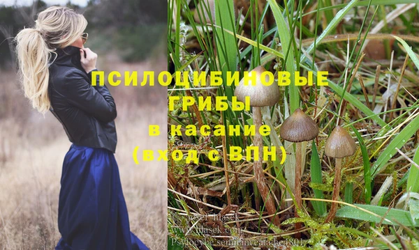 Альфа ПВП Абаза