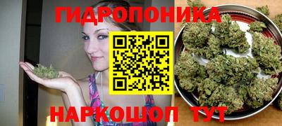 герыч Вышний Волочёк