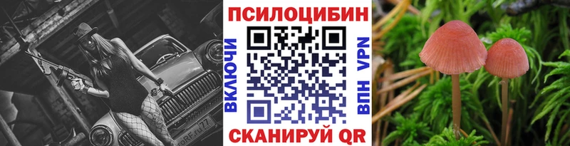 закладки площадка Telegram Псилоцибиновые грибы ЛСД Абакан