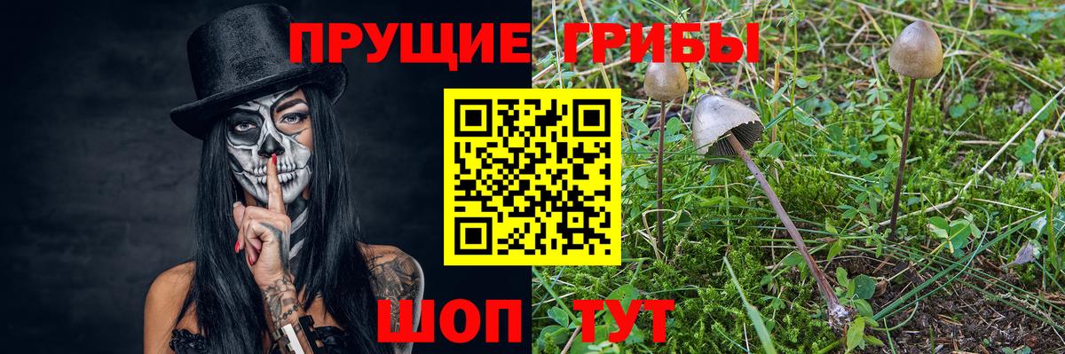 Галлюциногенные грибы Psilocybine cubensis  Псилоцибиновые грибы мицелий  Вход с VPN  Абакан 