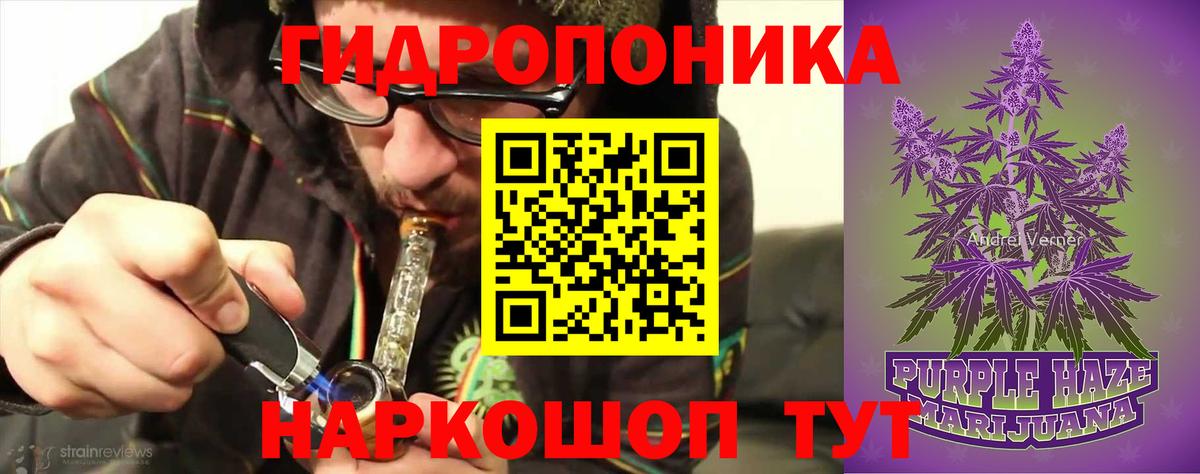 Каннабис индика Абакан